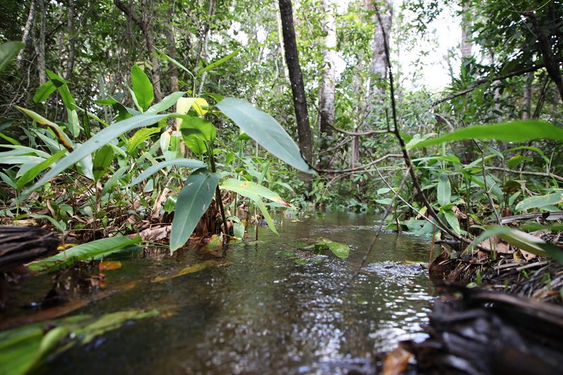 Codevasf cataloga cinquenta nascentes no Rio Balsas, afluente do Parnaíba